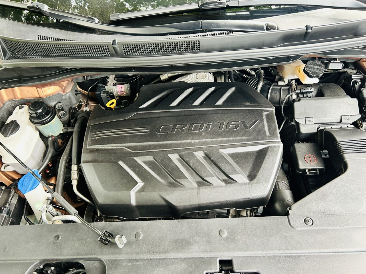 Kia Sedona 2019 - Ảnh 3