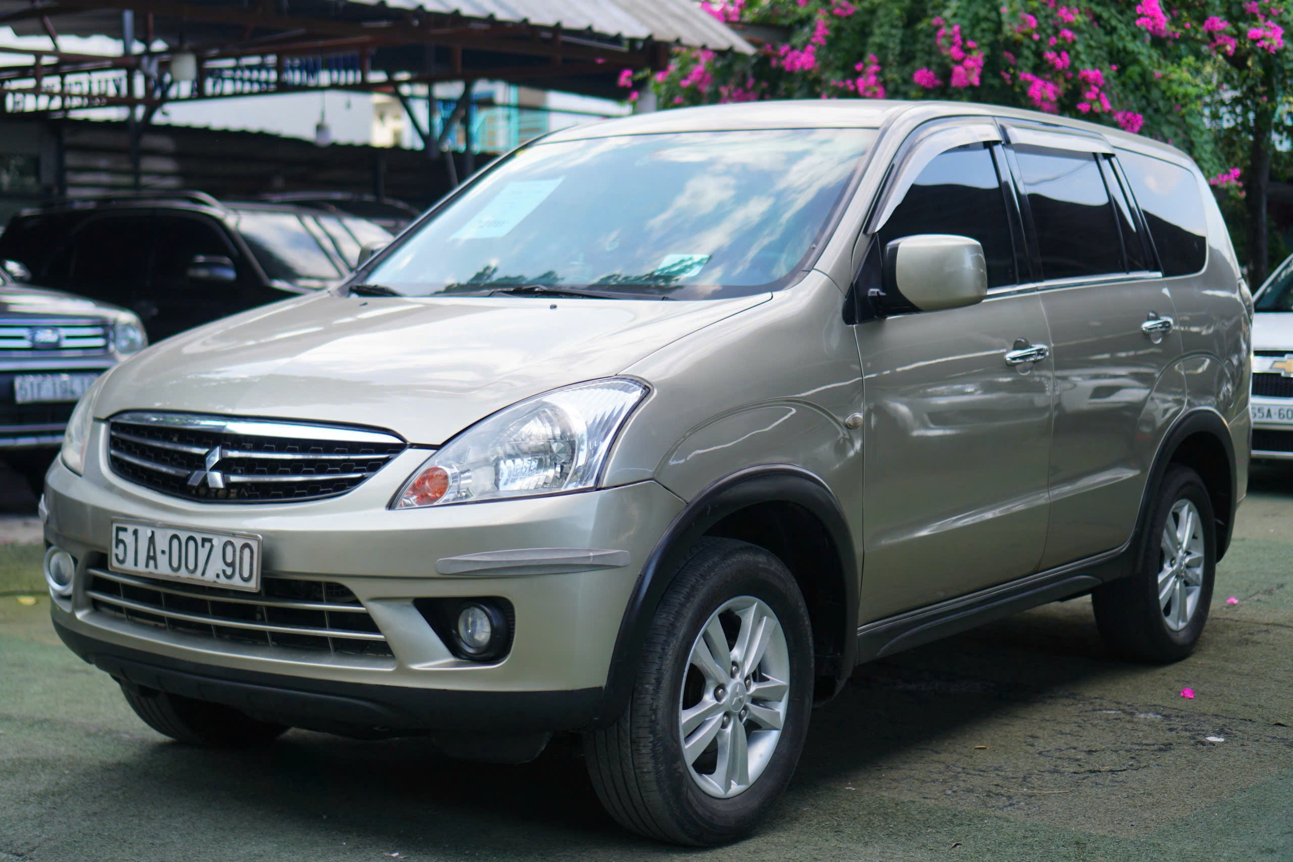 Zinger 2010 - Ảnh 2