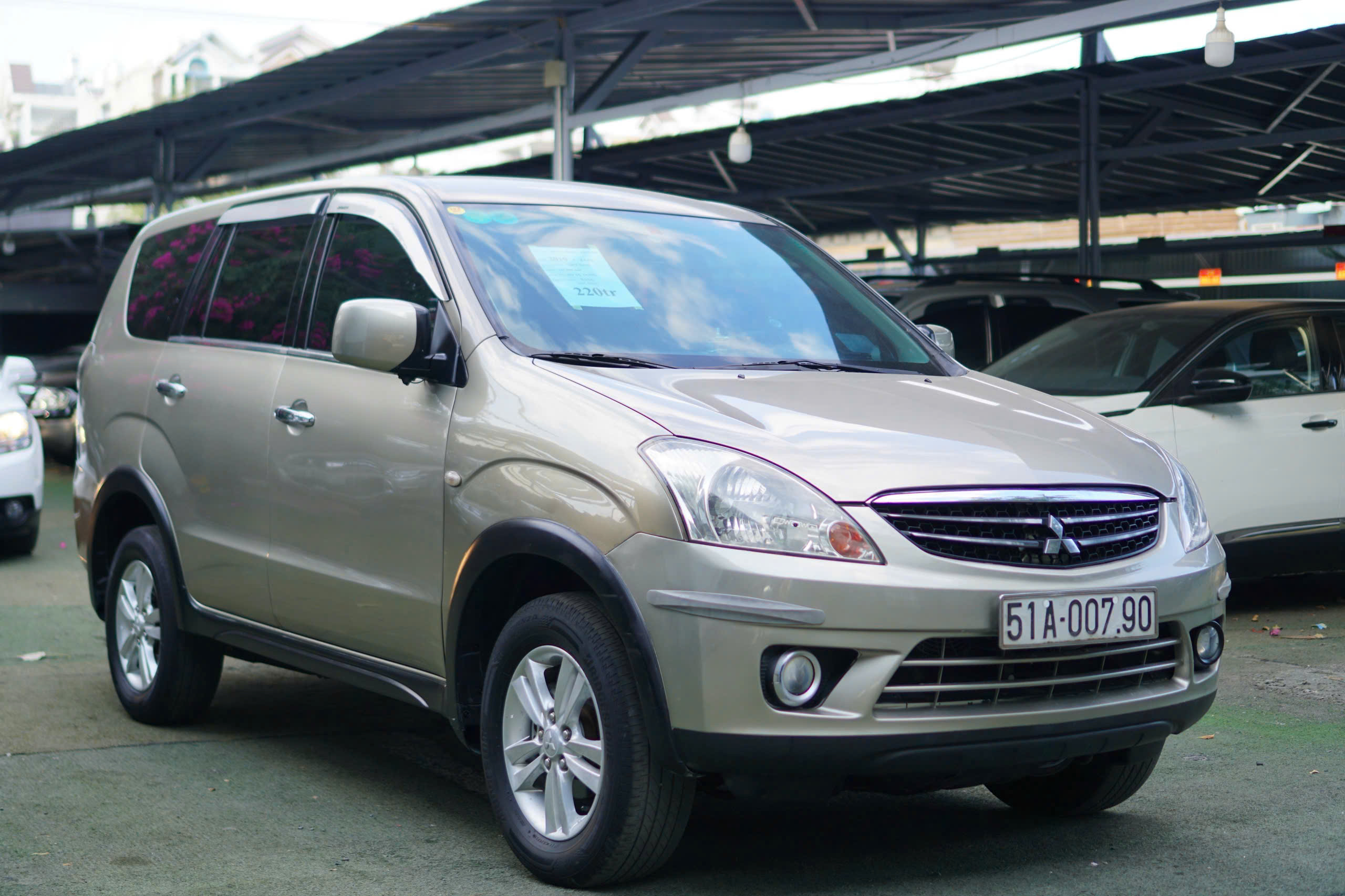 Zinger 2010 - Ảnh 3